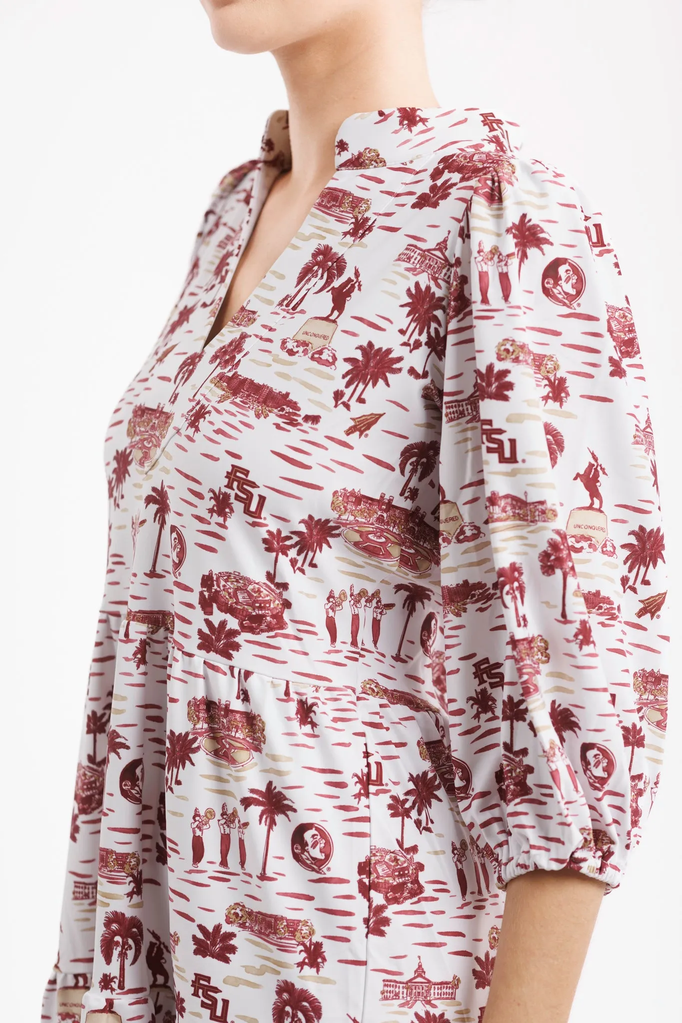 Tailgate Collection Tory Dress - Florida State Toile