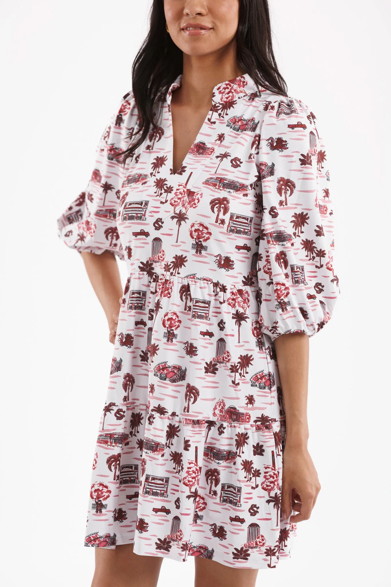 Tailgate Collection Tory Dress - Gamecock Toile