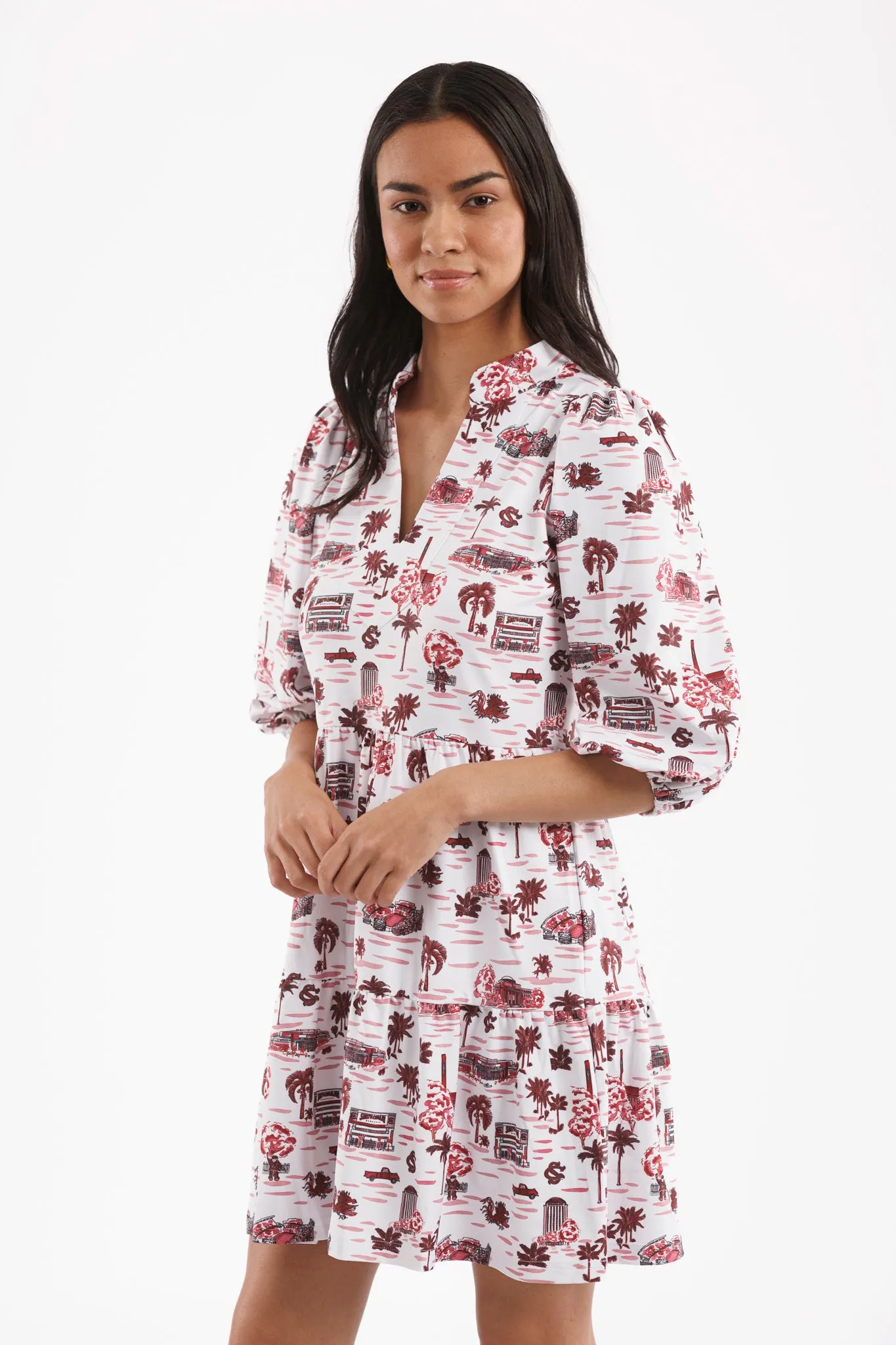 Tailgate Collection Tory Dress - Gamecock Toile