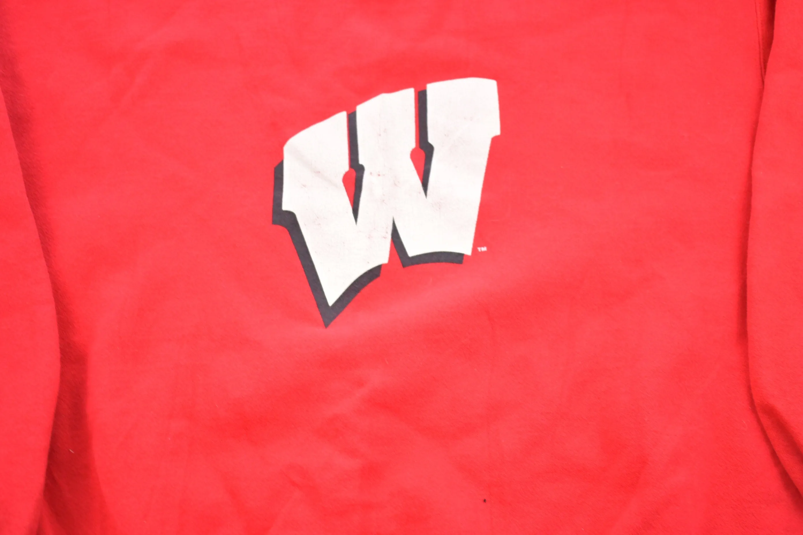 Vintage 1990s University Of Wisconsin Badgers Champion Crewneck Sweatshirt / 90s Crewneck / Souvenir / Athleisure / Streetwear / NCAA