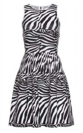 Zebra Knit Dress